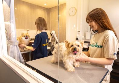 Dog Salon&Resort FURE｜みなとみらい