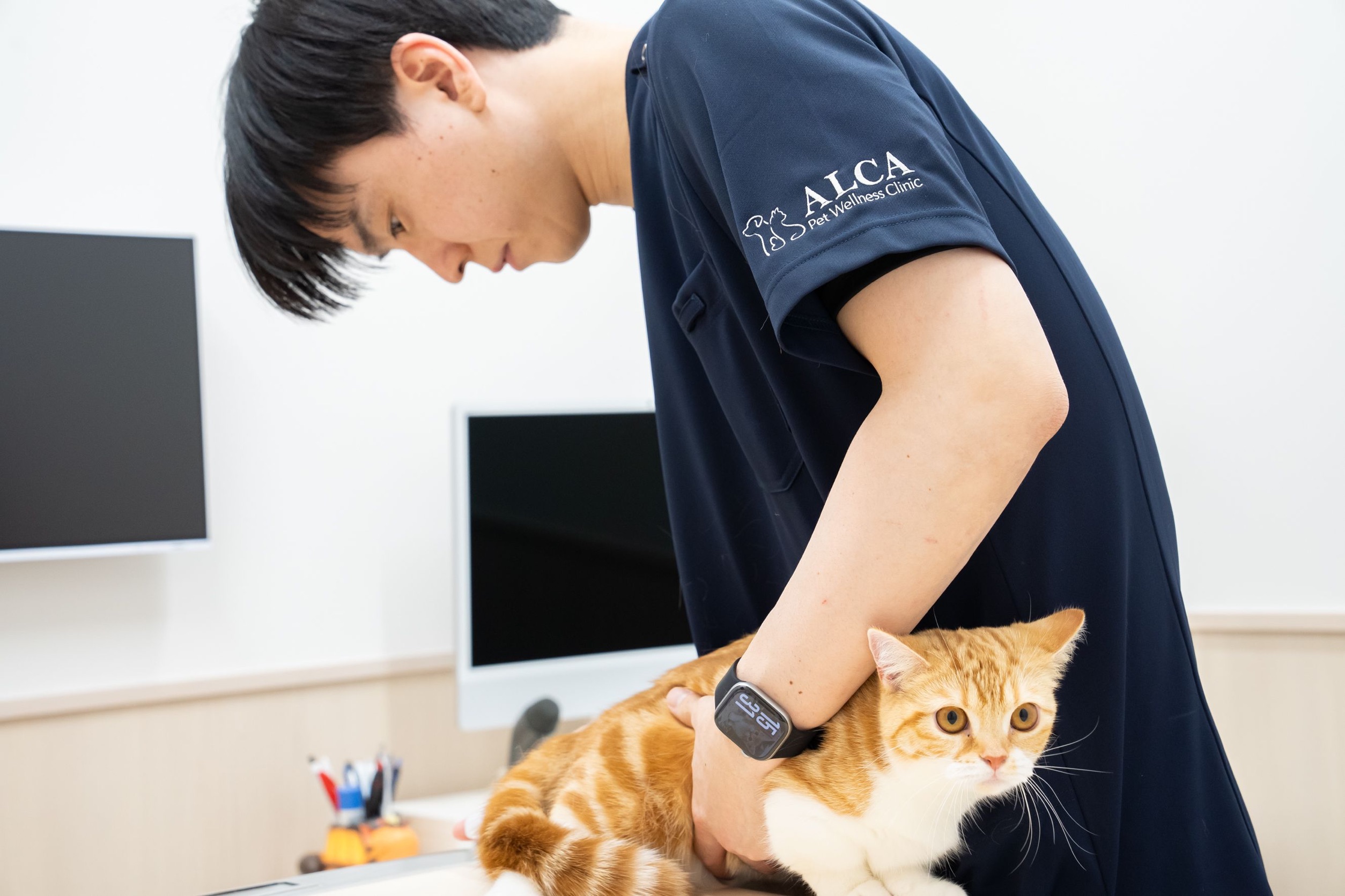 みなとみらい動物病院 ALCA