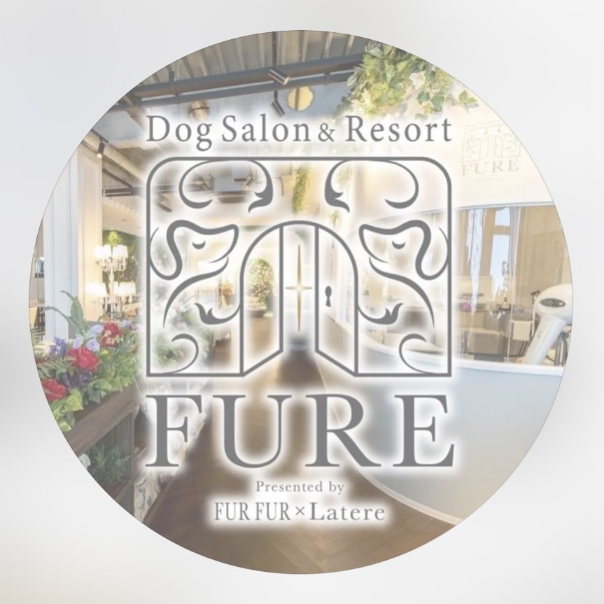 Dog Salon&amp;Resort FURE｜みなとみらい